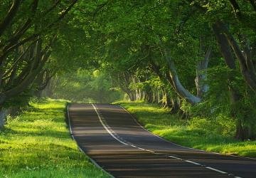 Historical Landmark Restored to Its Former Glory