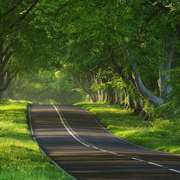 Historical Landmark Restored to Its Former Glory